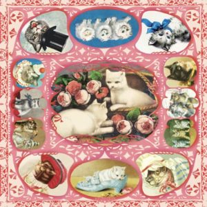 TOUR DE COU  - CRAZY CAT